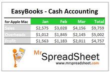 Load image into Gallery viewer, Accounting Spreadsheet for Mac Users