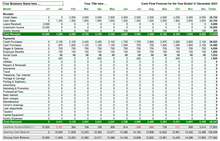 Load image into Gallery viewer, Cash Flow Spreadsheet Forecaster - Popular download
