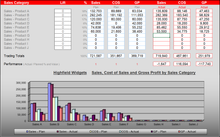 Load image into Gallery viewer, Financial Business Plan