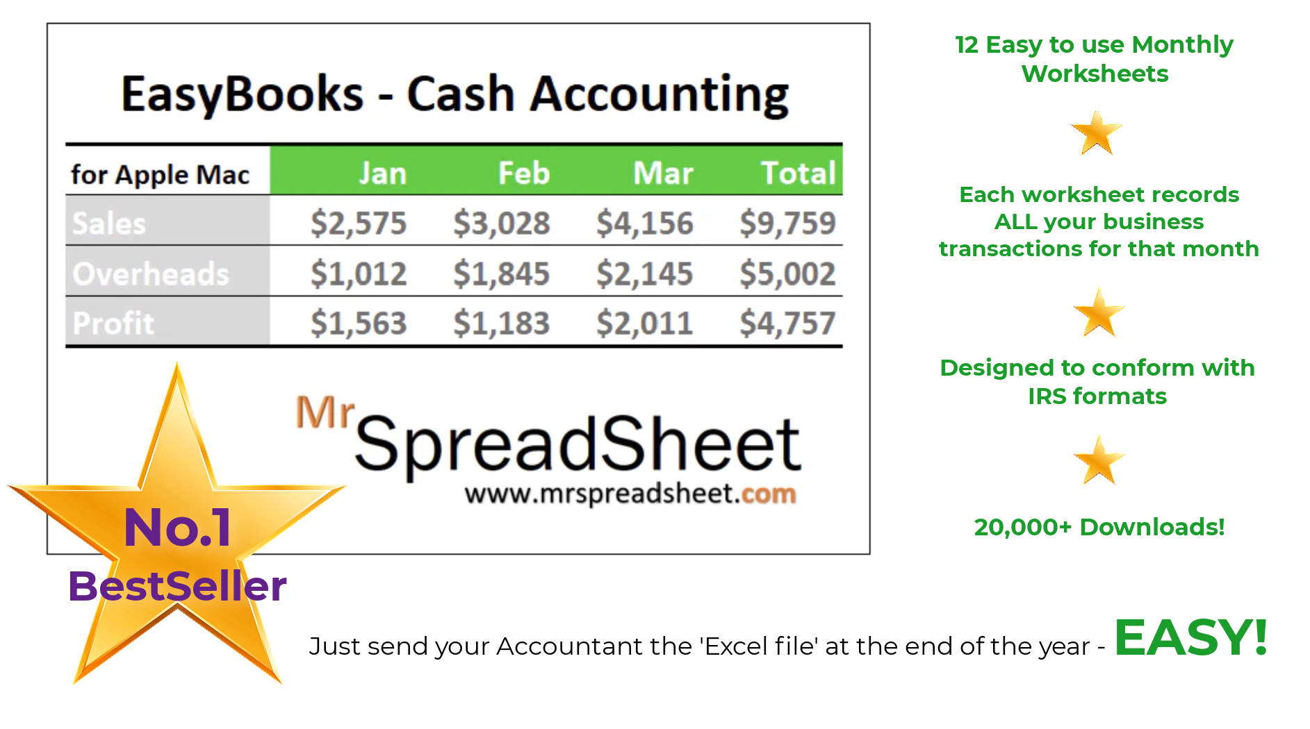 Accounting Spreadsheet - EasyBooks for Apple Mac